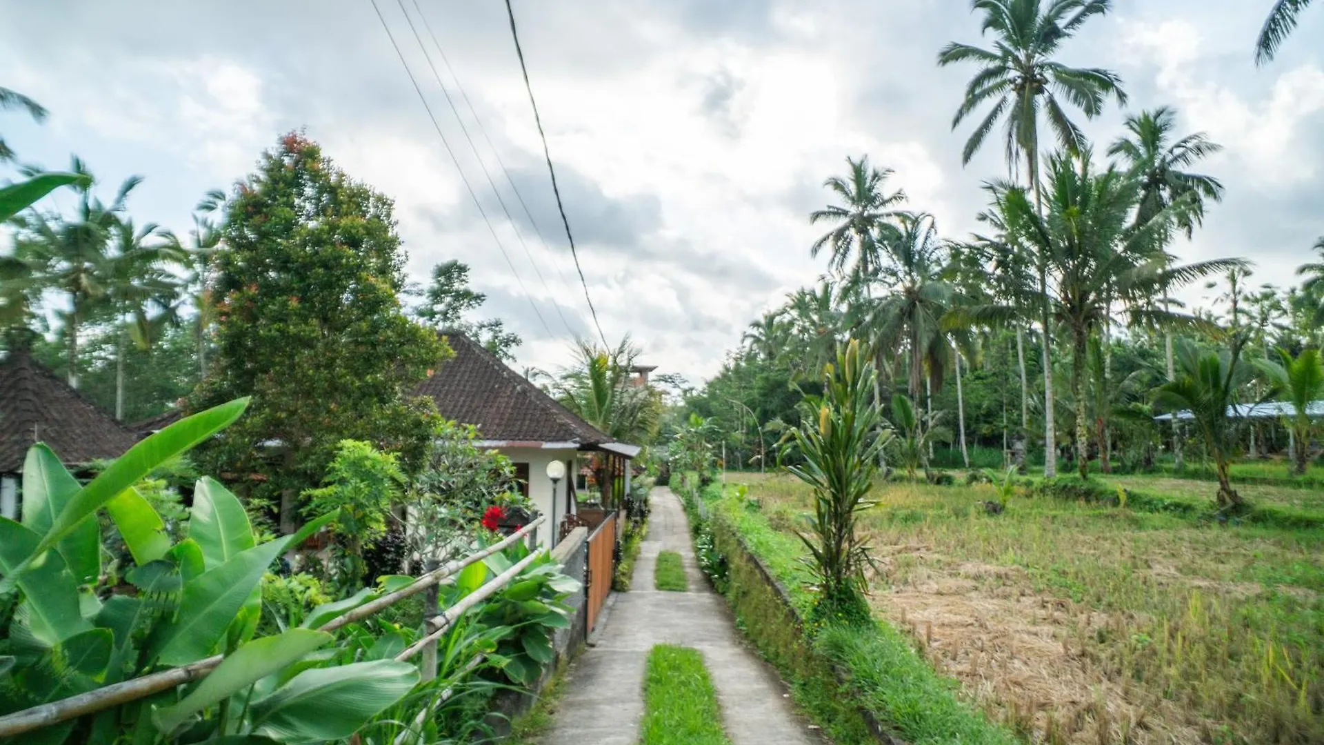 Prayatna Villas Ubud 0*,