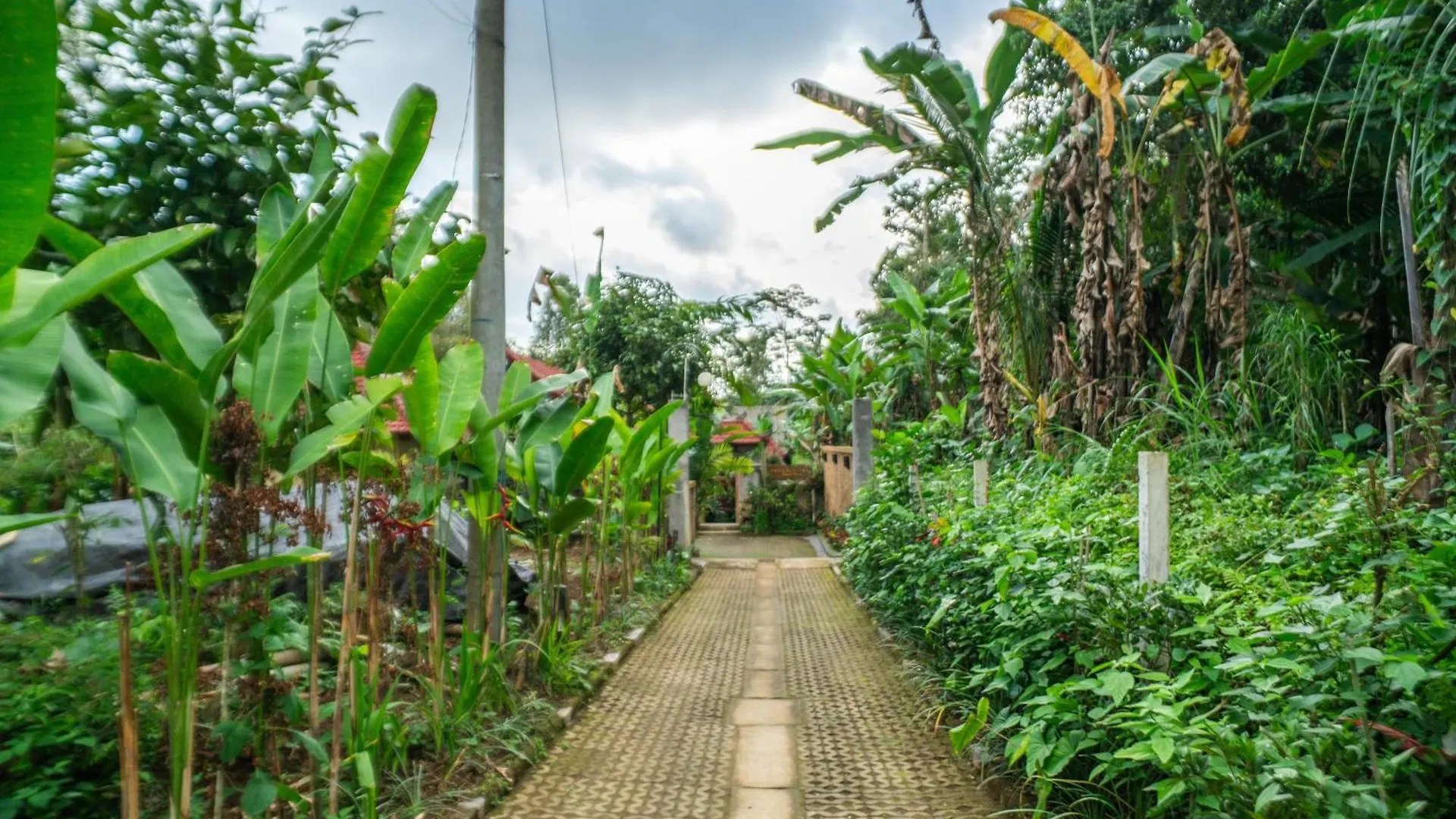 Prayatna Villas Ubud  Bed & Breakfast Ubud (Bali)